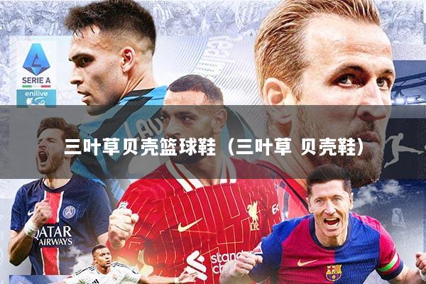 三叶草贝壳篮球鞋（三叶草 贝壳鞋）